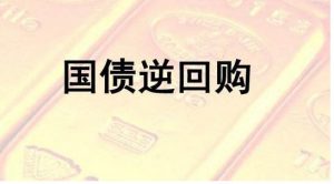 国债逆回购和国债是一回事吗？ (https://www.cnq.net/) 股票基础教程 第1张