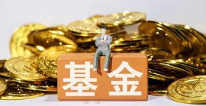 什么是混合型基金？ (https://www.cnq.net/) 股票基础教程 第1张