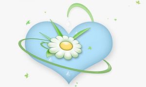 融资融券中的股票股权处理方式有哪些 (https://www.cnq.net/) 股票基础教程 第1张