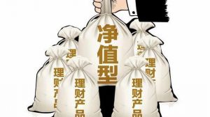 净值型理财产品和基金哪个更好？ (https://www.cnq.net/) 股票基础教程 第1张