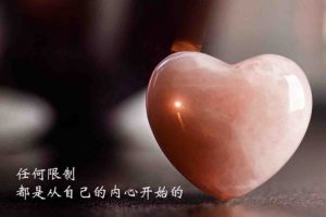 以静制动解套法的操作过程 (https://www.cnq.net/) 股票基础教程 第1张