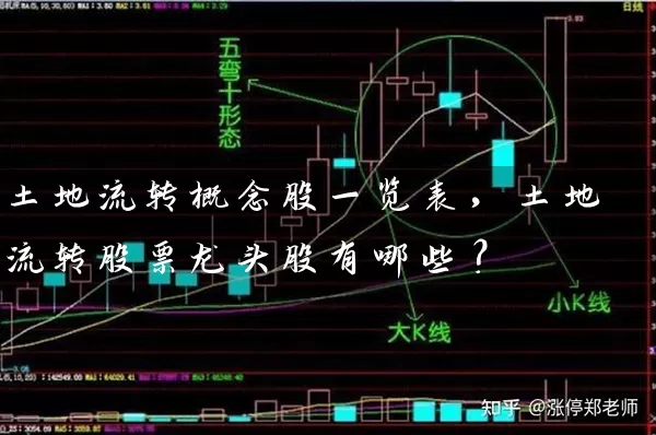土地流转概念股一览表，土地流转股票龙头股有哪些？ (https://www.cnq.net/) 股票基础教程 第1张