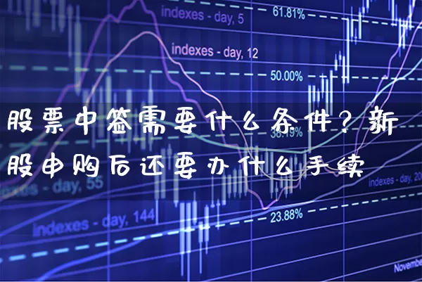 股票中签需要什么条件？新股申购后还要办什么手续 (https://www.cnq.net/) 股票基础教程 第1张