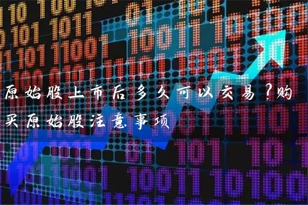 原始股上市后多久可以交易？购买原始股注意事项 (https://www.cnq.net/) 股票基础教程 第1张