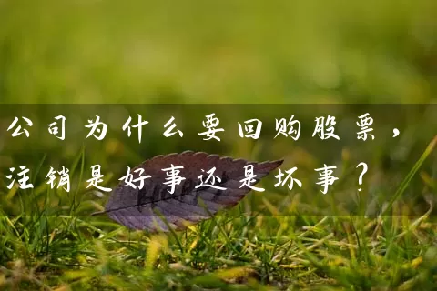 公司为什么要回购股票，注销是好事还是坏事？ (https://www.cnq.net/) 股票基础教程 第1张