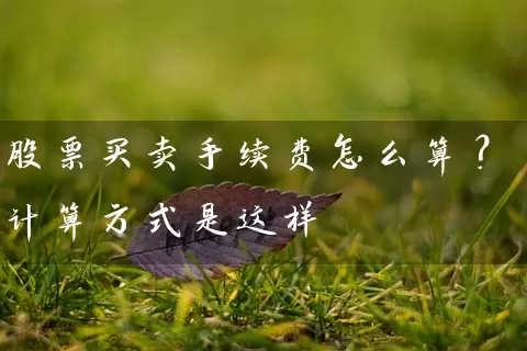 股票买卖手续费怎么算？计算方式是这样 (https://www.cnq.net/) 股票基础教程 第1张
