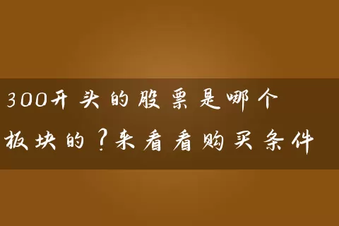 300开头的股票是哪个板块的？来看看购买条件 (https://www.cnq.net/) 股票基础教程 第1张