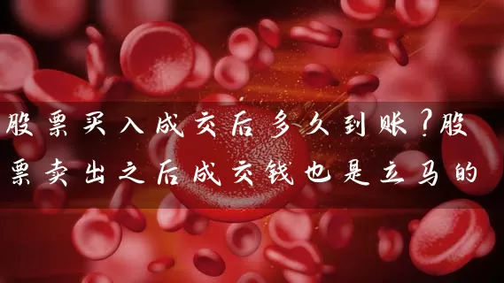 股票买入成交后多久到账？股票卖出之后成交钱也是立马的 (https://www.cnq.net/) 股票基础教程 第1张