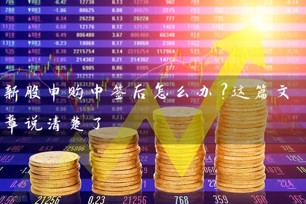 新股申购中签后怎么办？这篇文章说清楚了 (https://www.cnq.net/) 股票基础教程 第1张