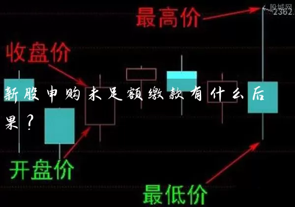 新股申购未足额缴款有什么后果？ (https://www.cnq.net/) 股票基础教程 第1张