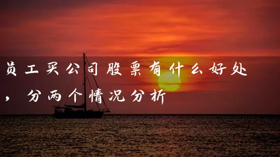 员工买公司股票有什么好处，分两个情况分析 (https://www.cnq.net/) 股票基础教程 第1张