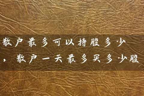 散户最多可以持股多少,散户一天最多买多少股 股票基础教程 第1张-学习理财网 散户最多可以持股多少,散户一天最多买多少股 (https://www.cnq.net/) 股票基础教程 第1张