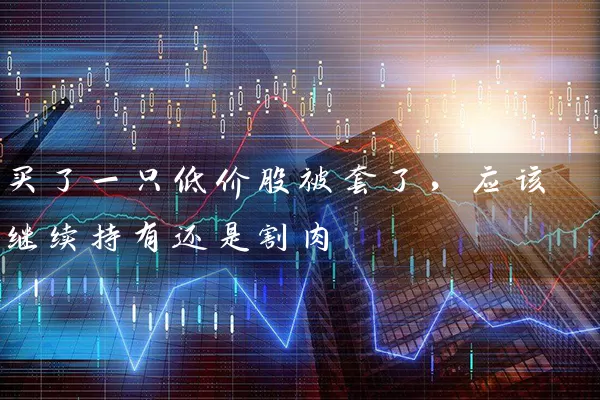 买了一只低价股被套了,应该继续持有还是割肉 股票基础教程 第1张-学习理财网 买了一只低价股被套了,应该继续持有还是割肉 (https://www.cnq.net/) 股票基础教程 第1张