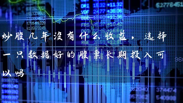 炒股几年没有什么收益，选择一只数据好的股票长期投入可以吗 (https://www.cnq.net/) 股票基础教程 第1张