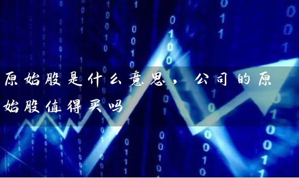 原始股是什么意思，公司的原始股值得买吗 (https://www.cnq.net/) 股票基础教程 第1张