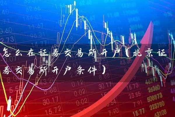 怎么在证券交易所开户（北京证券交易所开户条件） (https://www.cnq.net/) 股票基础教程 第1张