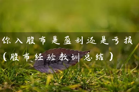 你入股市是盈利还是亏损（股市经验教训总结） (https://www.cnq.net/) 股票基础教程 第1张