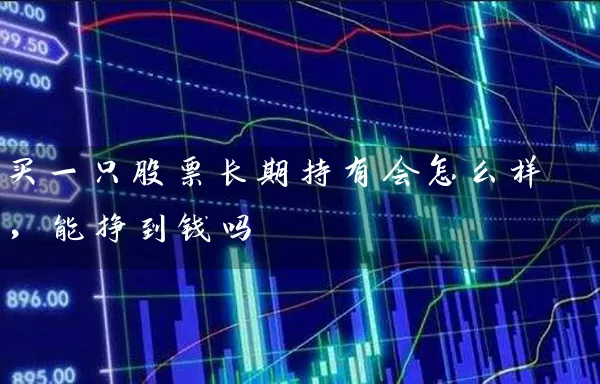买一只股票长期持有会怎么样,能挣到钱吗 股票基础教程 第1张-学习理财网 买一只股票长期持有会怎么样,能挣到钱吗 (https://www.cnq.net/) 股票基础教程 第1张
