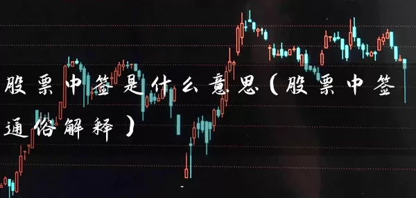 股票中签是什么意思（股票中签通俗解释） (https://www.cnq.net/) 股票基础教程 第1张