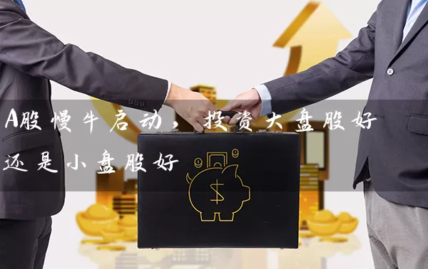 A股慢牛启动，投资大盘股好还是小盘股好 (https://www.cnq.net/) 股票基础教程 第1张