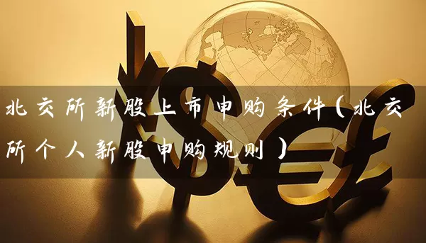 北交所新股上市申购条件（北交所个人新股申购规则） (https://www.cnq.net/) 股票基础教程 第1张