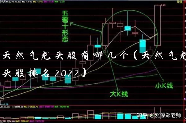 天然气龙头股有哪几个（天然气龙头股排名2022） (https://www.cnq.net/) 股票基础教程 第1张