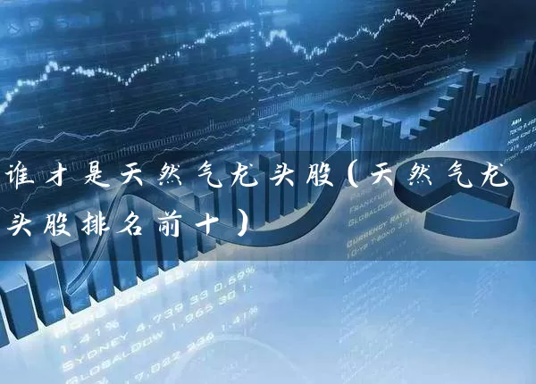 谁才是天然气龙头股（天然气龙头股排名前十） (https://www.cnq.net/) 股票基础教程 第1张