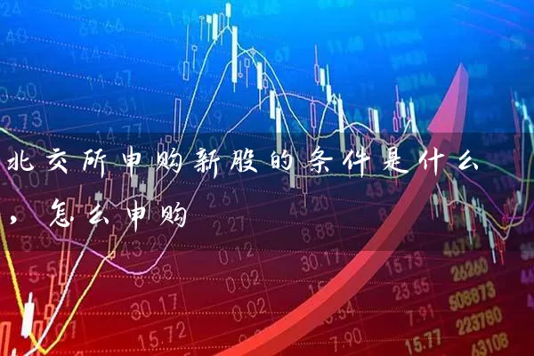 北交所申购新股的条件是什么,怎么申购 股票基础教程 第1张-学习理财网 北交所申购新股的条件是什么,怎么申购 (https://www.cnq.net/) 股票基础教程 第1张