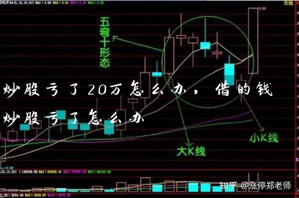 炒股亏了20万怎么办,借的钱炒股亏了怎么办 股票基础教程 第1张-学习理财网 炒股亏了20万怎么办,借的钱炒股亏了怎么办 (https://www.cnq.net/) 股票基础教程 第1张