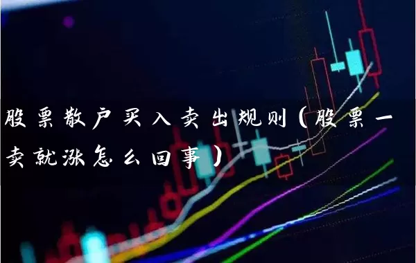 股票散户买入卖出规则(股票一卖就涨怎么回事) 股票基础教程 第1张-学习理财网 股票散户买入卖出规则(股票一卖就涨怎么回事) (https://www.cnq.net/) 股票基础教程 第1张