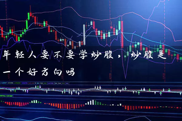 年轻人要不要学炒股，炒股是一个好方向吗 (https://www.cnq.net/) 股票基础教程 第1张