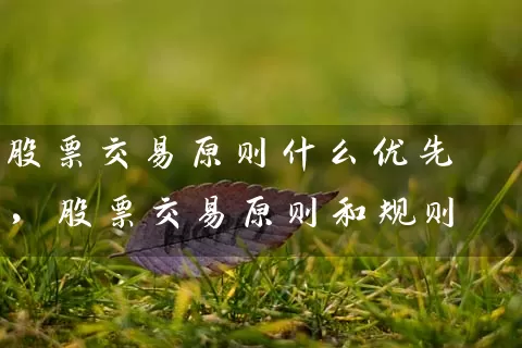 股票交易原则什么优先，股票交易原则和规则 (https://www.cnq.net/) 股票基础教程 第1张