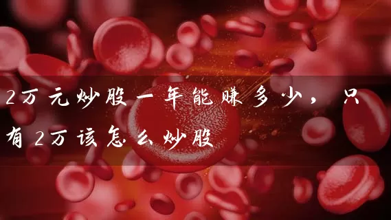 2万元炒股一年能赚多少，只有2万该怎么炒股 (https://www.cnq.net/) 股票基础教程 第1张