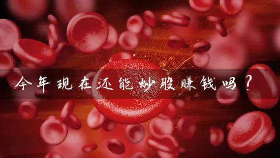 今年现在还能炒股赚钱吗? 股票基础教程 第1张-学习理财网 今年现在还能炒股赚钱吗? (https://www.cnq.net/) 股票基础教程 第1张