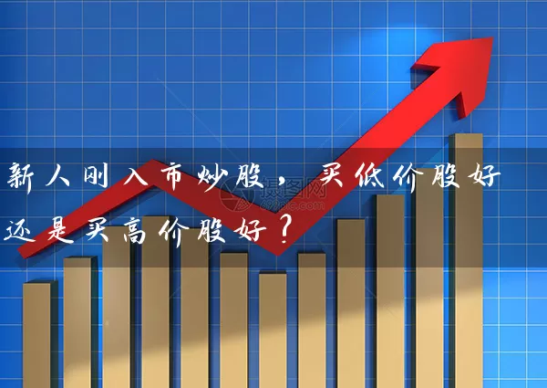 新人刚入市炒股,买低价股好还是买高价股好? 股票基础教程 第1张-学习理财网 新人刚入市炒股,买低价股好还是买高价股好? (https://www.cnq.net/) 股票基础教程 第1张