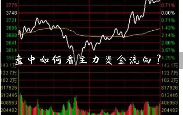 盘中如何看主力资金流向? 股票基础教程 第1张-学习理财网 盘中如何看主力资金流向? (https://www.cnq.net/) 股票基础教程 第1张