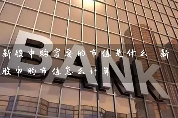 新股申购需要的市值是什么 新股申购市值怎么计算 (https://www.cnq.net/) 股票基础教程 第1张