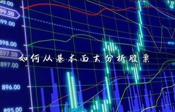 如何从基本面去分析股票 (https://www.cnq.net/) 股票基础教程 第1张