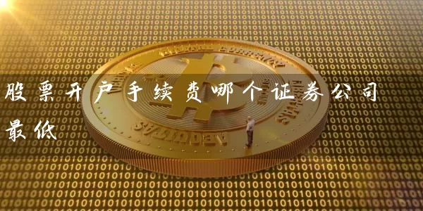 股票开户手续费哪个证券公司最低 (https://www.cnq.net/) 股票基础教程 第1张