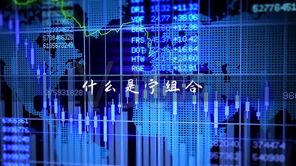 什么是宁组合 股票基础教程 第1张-学习理财网 什么是宁组合 (https://www.cnq.net/) 股票基础教程 第1张