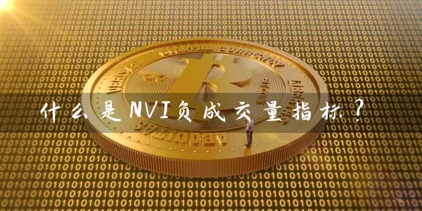 什么是NVI负成交量指标？ (https://www.cnq.net/) 股票基础教程 第1张