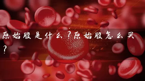 原始股是什么?原始股怎么买? 股票基础教程 第1张-学习理财网 原始股是什么?原始股怎么买? (https://www.cnq.net/) 股票基础教程 第1张