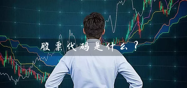 股票代码是什么? 股票基础教程 第1张-学习理财网 股票代码是什么? (https://www.cnq.net/) 股票基础教程 第1张