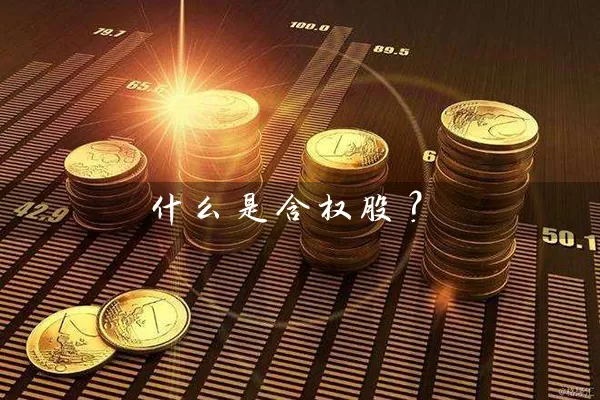 什么是含权股？ (https://www.cnq.net/) 股票基础教程 第1张