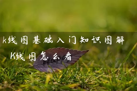 k线图基础入门知识图解 K线图怎么看 (https://www.cnq.net/) 股票基础教程 第1张