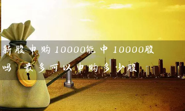 新股申购10000能中10000股吗 最多可以申购多少股 股票基础教程 第1张-学习理财网 新股申购10000能中10000股吗 最多可以申购多少股 (https://www.cnq.net/) 股票基础教程 第1张
