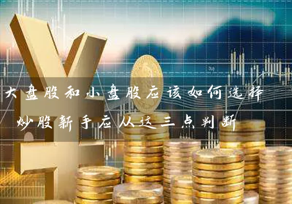 大盘股和小盘股应该如何选择 炒股新手应从这三点判断 股票基础教程 第1张-学习理财网 大盘股和小盘股应该如何选择 炒股新手应从这三点判断 (https://www.cnq.net/) 股票基础教程 第1张