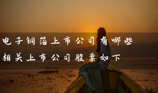 电子铜箔上市公司有哪些 相关上市公司股票如下 股票基础教程 第1张-学习理财网 电子铜箔上市公司有哪些 相关上市公司股票如下 (https://www.cnq.net/) 股票基础教程 第1张