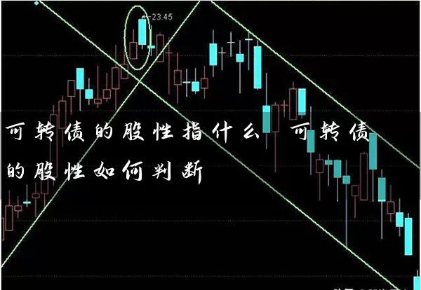 可转债的股性指什么 可转债的股性如何判断 (https://www.cnq.net/) 股票基础教程 第1张