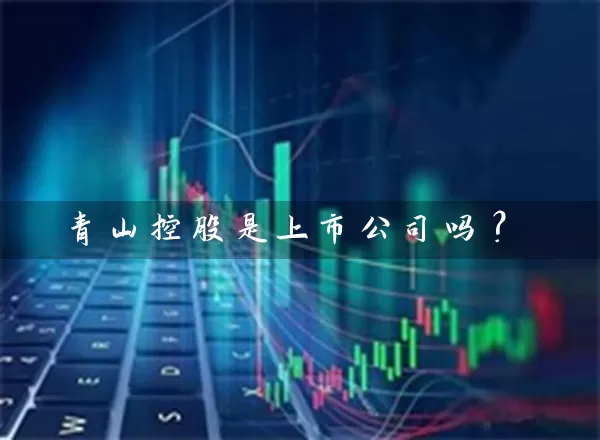 青山控股是上市公司吗? 股票基础教程 第1张-学习理财网 青山控股是上市公司吗? (https://www.cnq.net/) 股票基础教程 第1张
